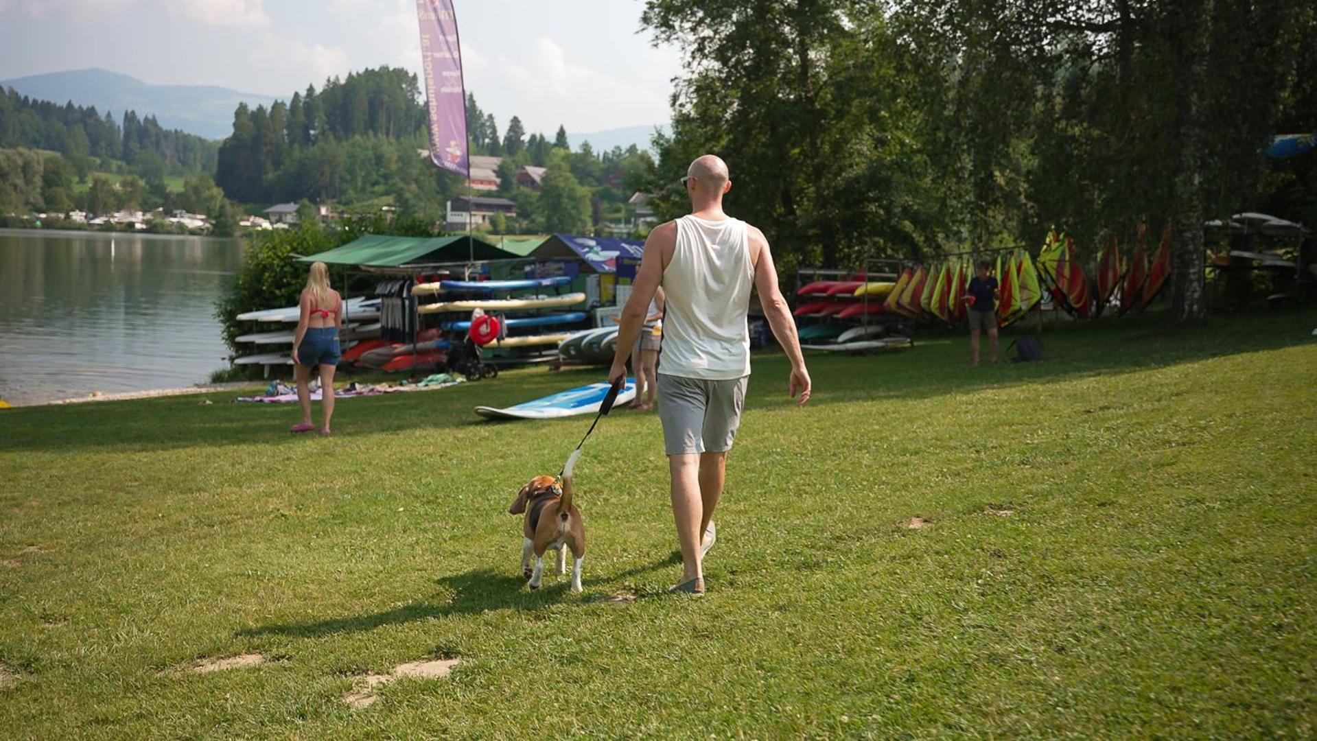 Feriendorf Am Maltschacher See 펠드키르첸인칸텐 외부 사진